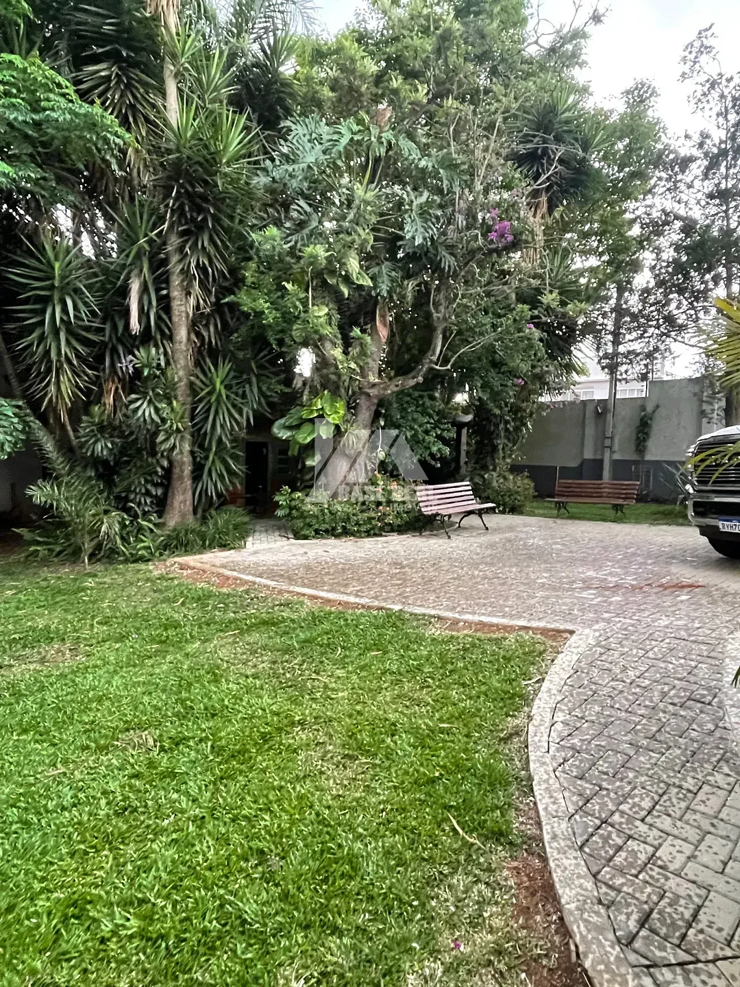 Miniatura 23