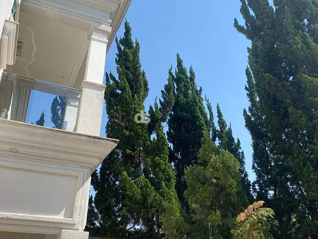 Sobrado 4 quartos e 6 banheiros, à venda, no bairro Horto Florestal em São Paulo