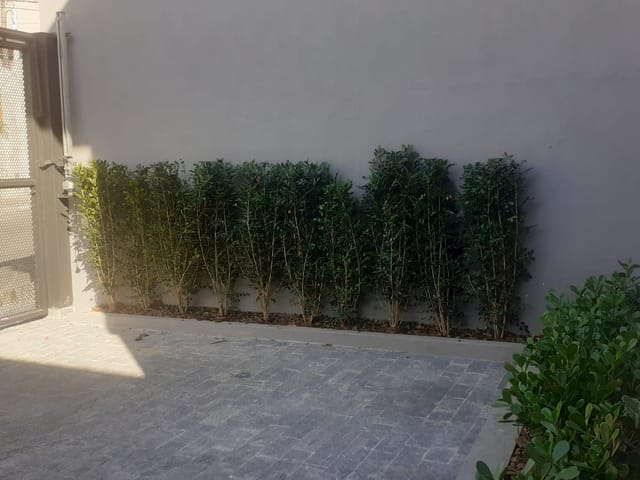 Sobrado com 130m² 3 quartos e 2 banheiros, à venda, no bairro Jardim da Glória em São Paulo