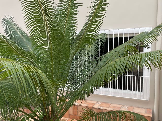 Sobrado com 150m² 2 quartos e 5 banheiros, à venda, no bairro Cambuci em São Paulo
