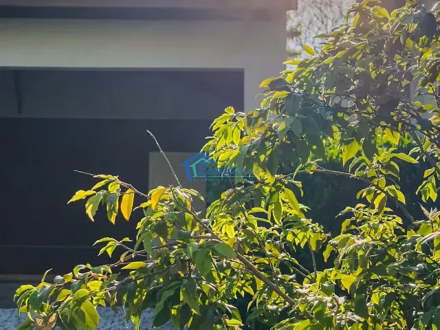 Sobrado com 614m² 4 quartos e 6 banheiros, à venda, no bairro Vila Borghese em Indaiatuba