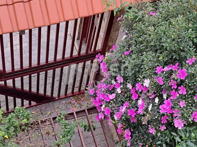 Sobrado 4 quartos e 4 banheiros, à venda, no bairro Jardim São Paulo(Zona Norte) em São Paulo