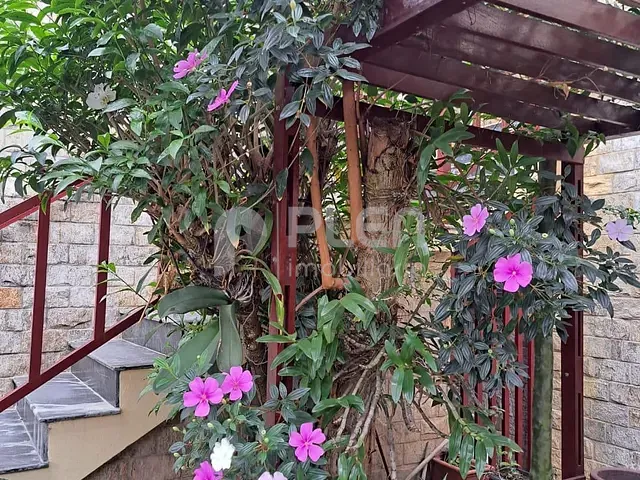 Sobrado 4 quartos e 4 banheiros, à venda, no bairro Jardim São Paulo(Zona Norte) em São Paulo