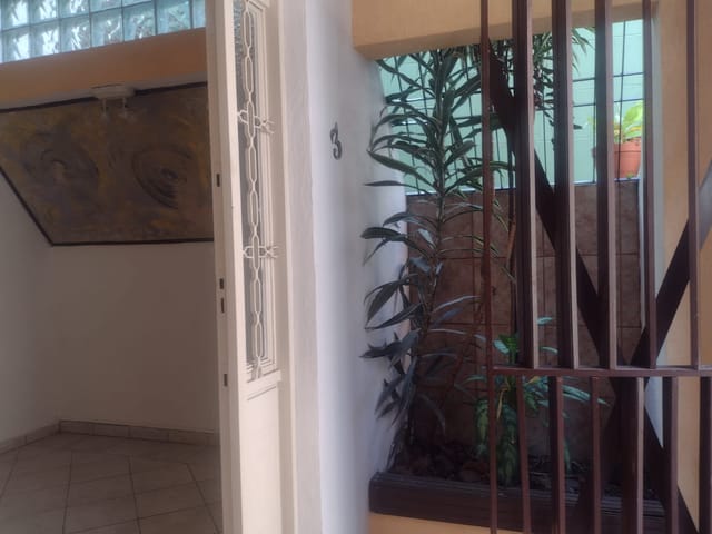 Foto do Sobrado - Sobrado para locação, Cambuci, São Paulo, SP | Vieira Imóveis