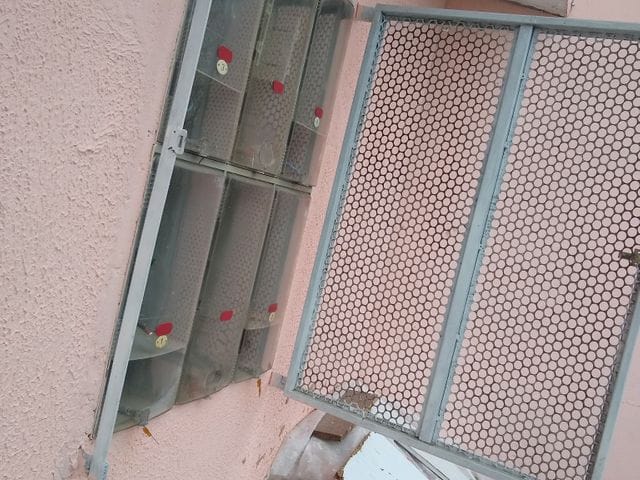 Sobrado com 432m² 9 quartos e 9 banheiros, à venda, no bairro Jardim Varan em Suzano