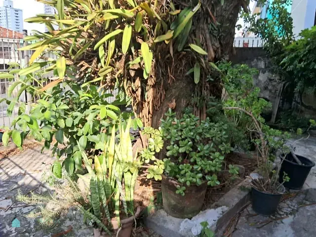 Sobrado com 168m² 5 quartos e 3 banheiros, à venda, no bairro Chácara Nossa Senhora Aparecida em São Paulo