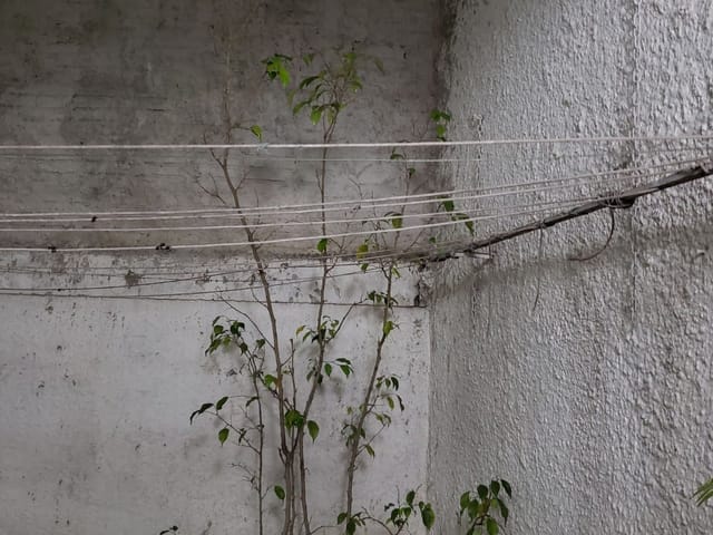 Sobrado com 100m² 2 quartos e 2 banheiros, à venda, no bairro Vila Monumento em São Paulo