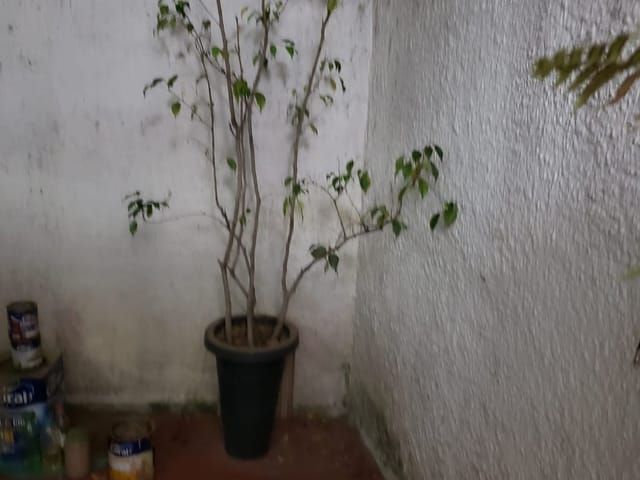 Sobrado com 100m² 2 quartos e 2 banheiros, à venda, no bairro Vila Monumento em São Paulo