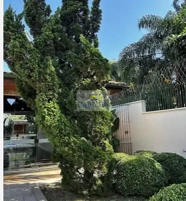 Sobrado, 4 quartos, 597 m² - Foto 25