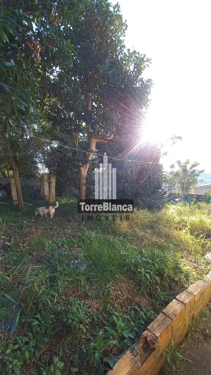 Sobrado, 3 quartos, 225 m² - Foto 35