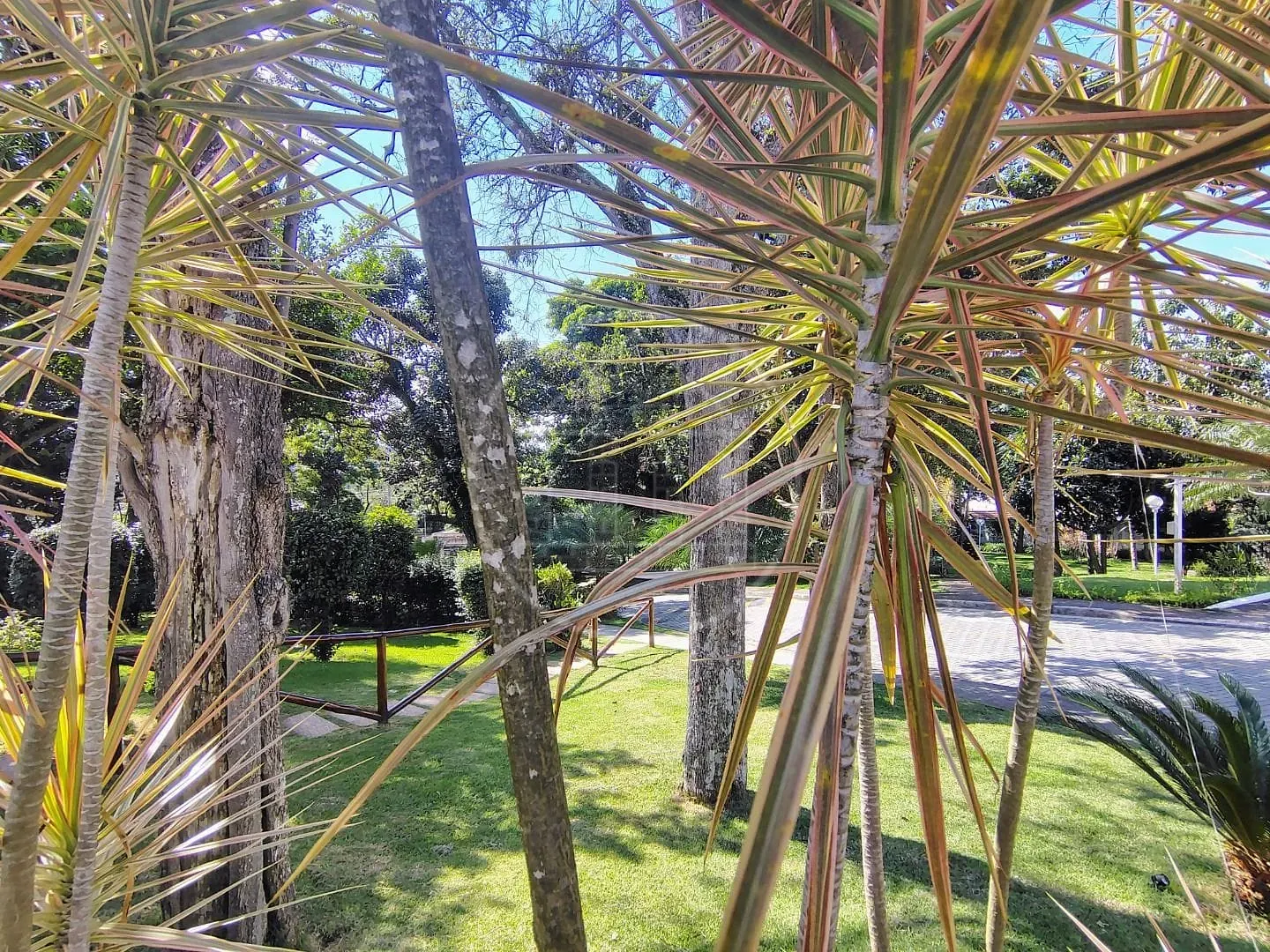 Sobrado, 3 quartos, 135 m² - Foto 33