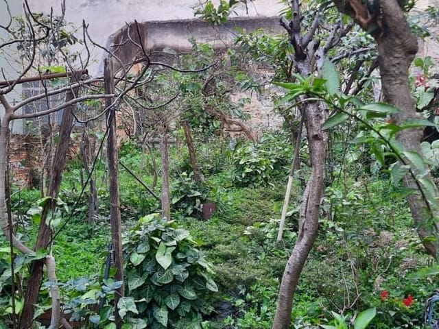 Foto do Sobrado - Sobrado à venda, Vila Guarani (Z Sul), São Paulo, 3 dormitorios, sendo uma suite, sala dois ambientes, cozinha, 1 vaga otimo local. | Vieira Imóveis