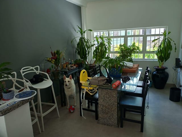 Sobrado com 380m² 3 quartos e 5 banheiros, à venda, no bairro Cambuci em São Paulo