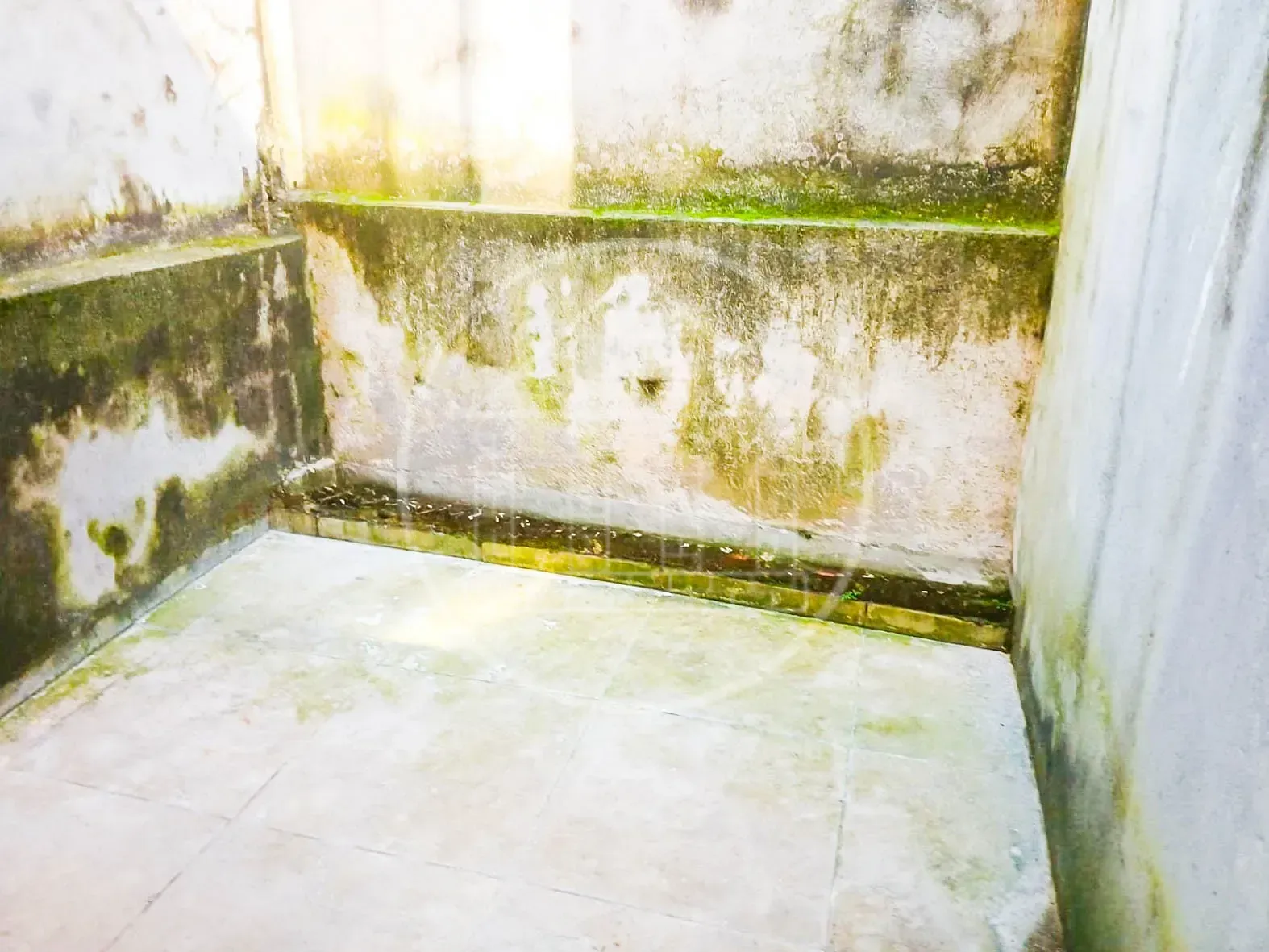 Sobrado, 2 quartos, 40 m² - Foto 19