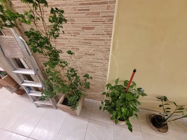 Sobrado com 125m² 4 quartos e 4 banheiros, à venda, no bairro Vila São José em São Paulo