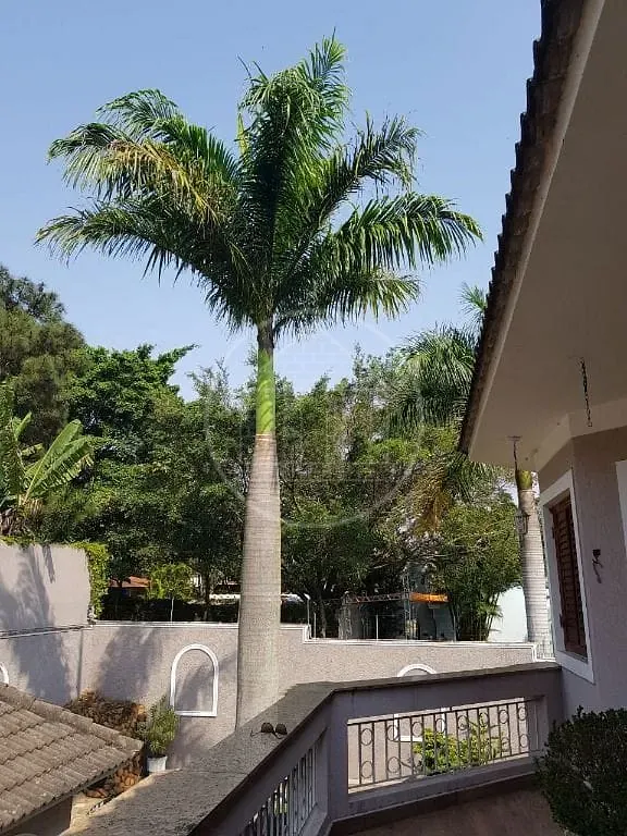 Sobrado, 4 quartos, 450 m² - Foto 21