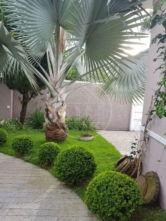Sobrado, 4 quartos, 450 m² - Foto 28