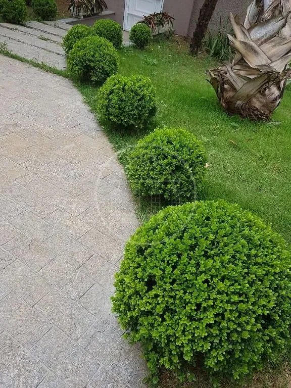 Sobrado, 4 quartos, 450 m² - Foto 33