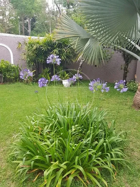 Sobrado, 4 quartos, 450 m² - Foto 27