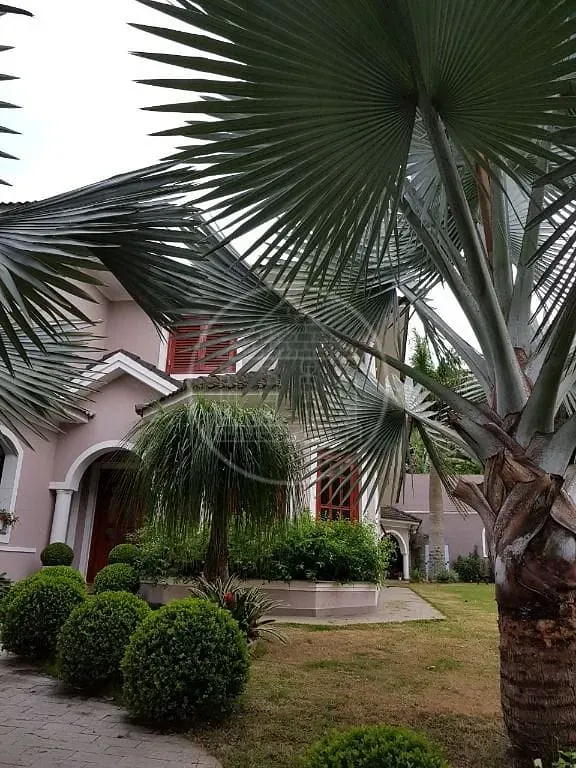 Sobrado, 4 quartos, 450 m² - Foto 30