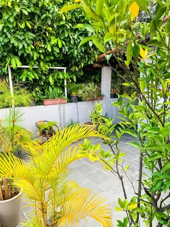 Sobrado, 4 quartos, 220 m² - Foto 51