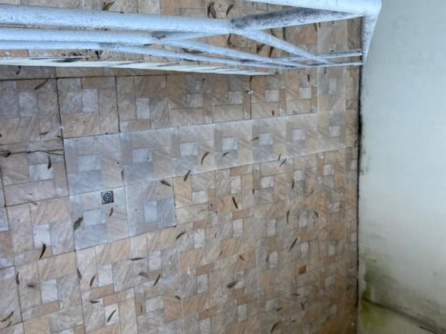 Sobrado com 400m² 3 quartos e 4 banheiros, à venda, no bairro Parque das Cigarreiras em Taboão da Serra