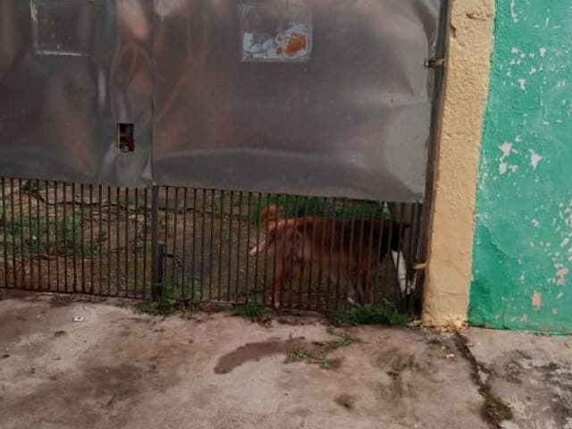 Sobrado com 250m² 4 quartos e 2 banheiros, à venda, no bairro Veloso em Osasco