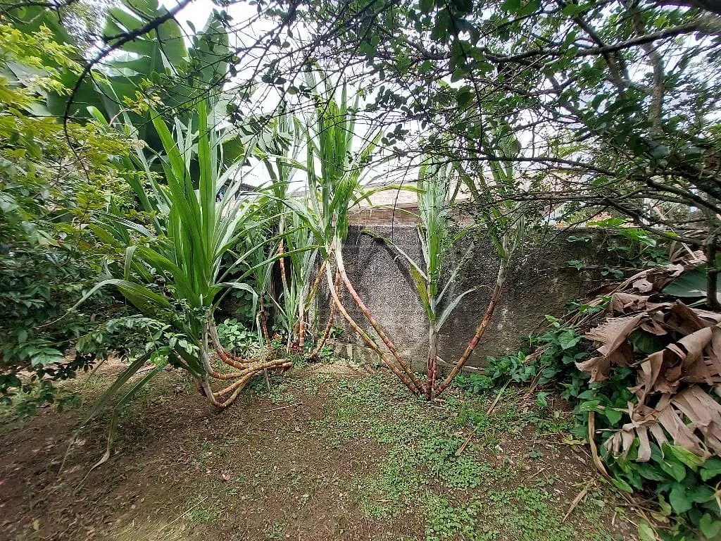 Sobrado, 2 quartos, 75 m² - Foto 41
