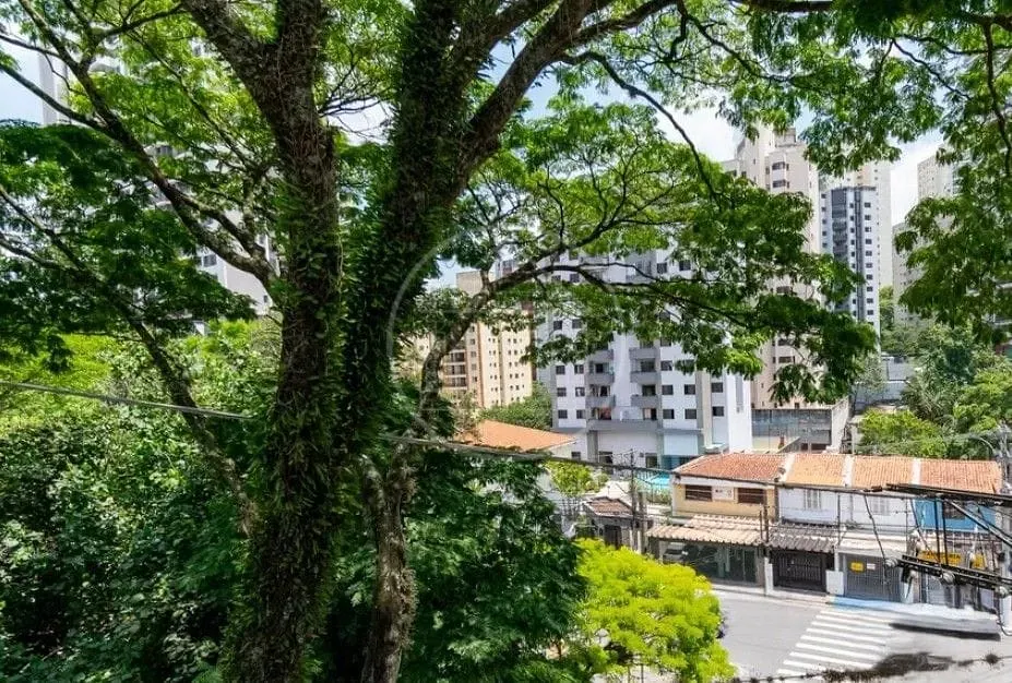 Sobrado, 3 quartos, 223 m² - Foto 12
