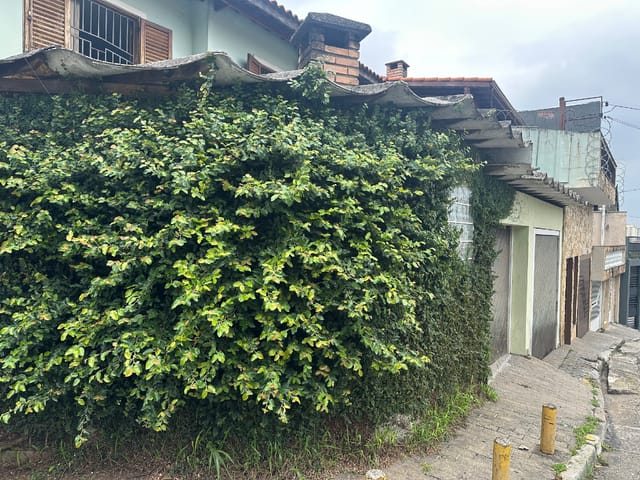 Sobrado com 109m² 3 quartos e 3 banheiros, à venda, no bairro Vila Gustavo em São Paulo