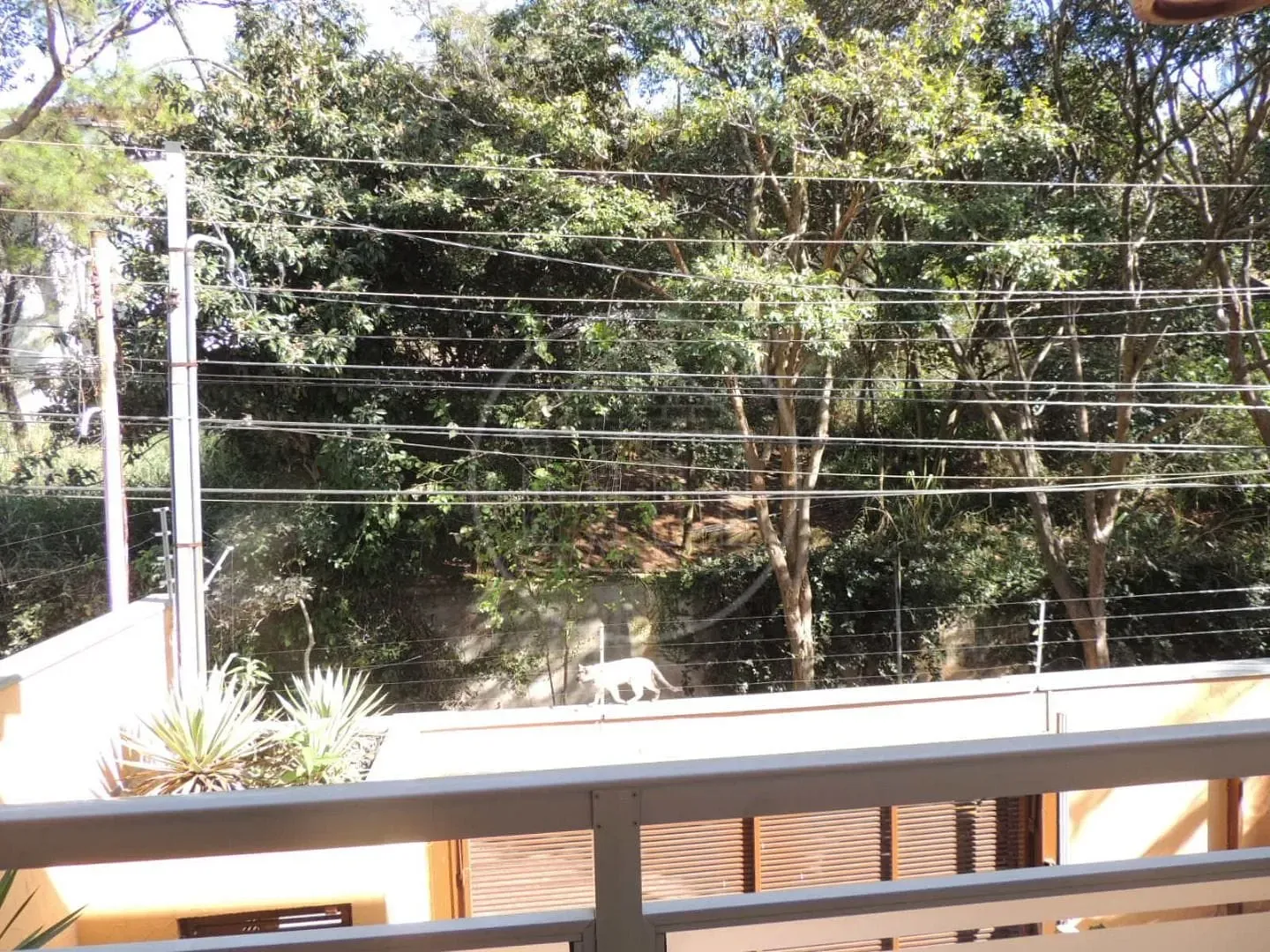Sobrado, 4 quartos, 324 m² - Foto 34