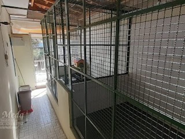 Foto do Ponto - Pet Shop à Venda com 300m² – Ponto Comercial em Guarulhos/SP | Willians Meda Imobiliária