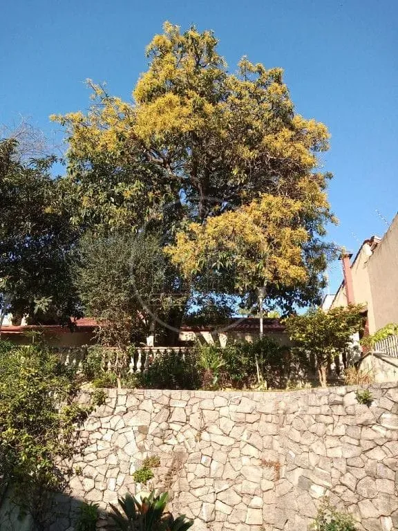 Sobrado, 6 quartos, 450 m² - Foto 11