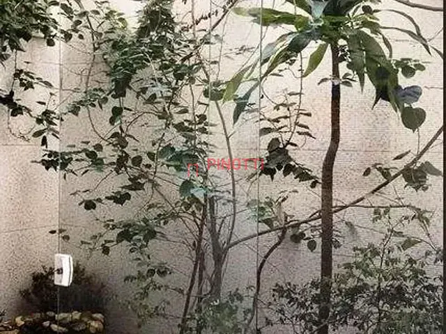 Sobrado 3 quartos e 1 banheiro, à venda, no bairro Parque São Diogo em São Bernardo do Campo