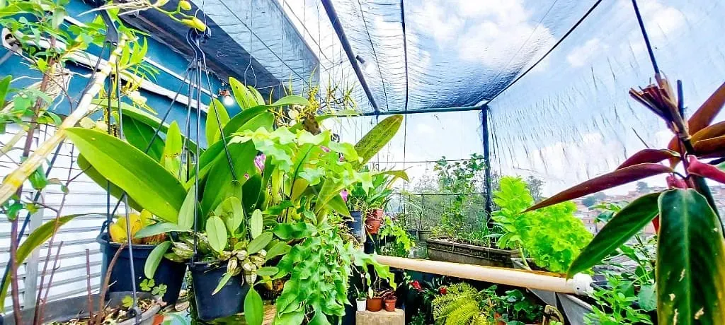 Sobrado, 3 quartos, 170 m² - Foto 41