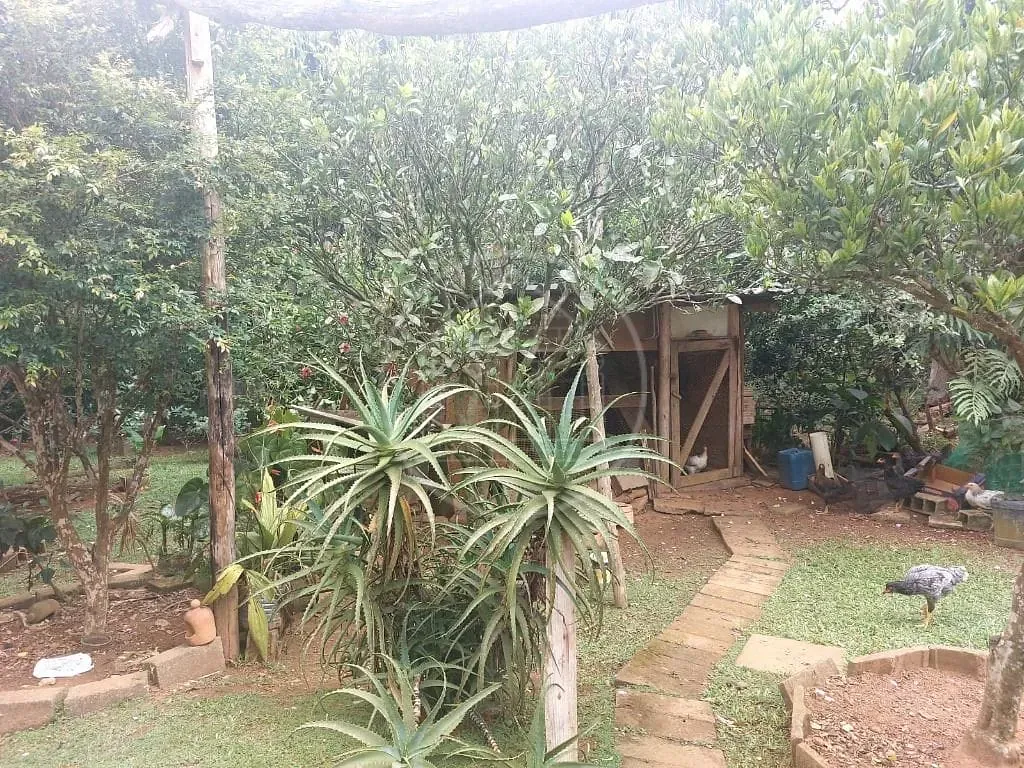 Sobrado, 3 quartos, 350 m² - Foto 51