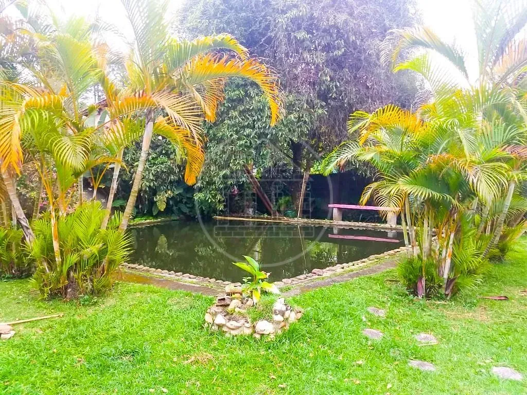 Sítio, 3 quartos, 1000 m² - Foto 17