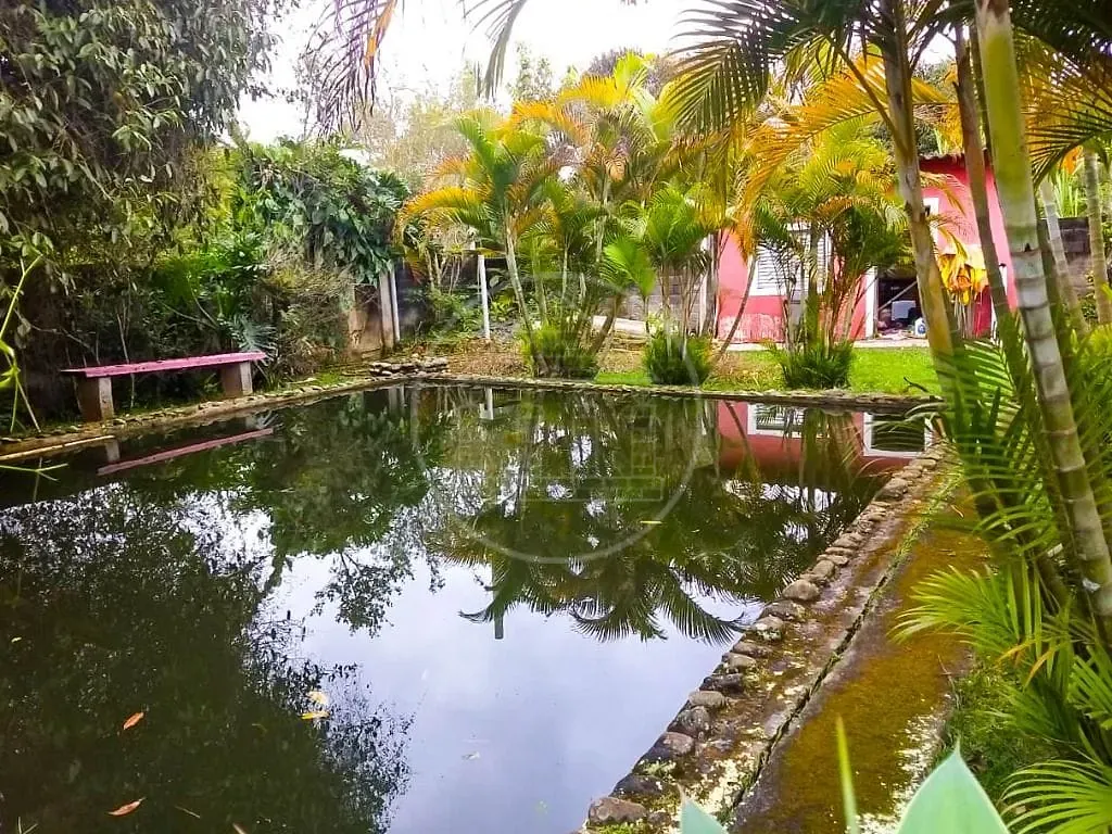 Sítio, 3 quartos, 1000 m² - Foto 18
