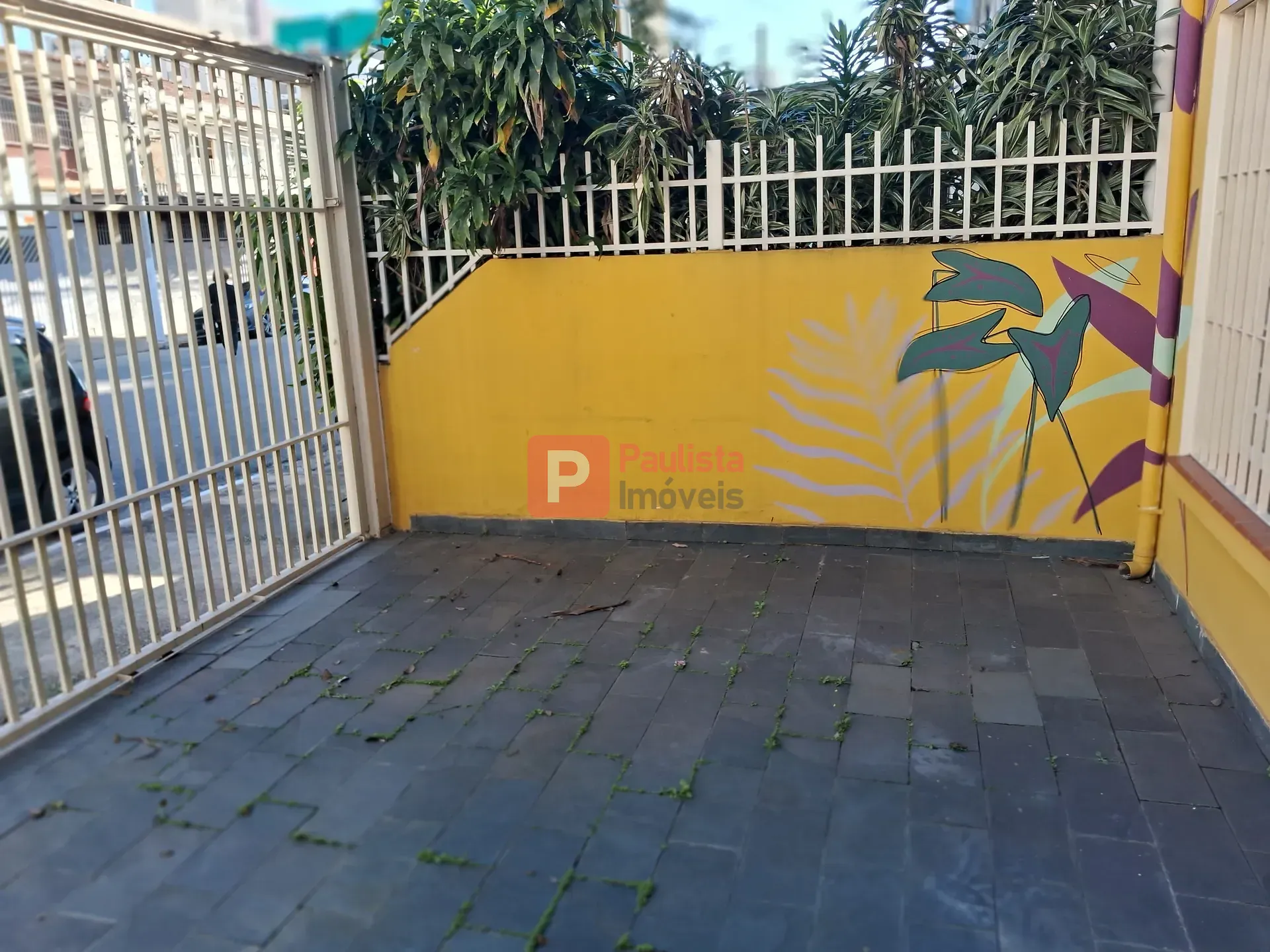 Foto 7