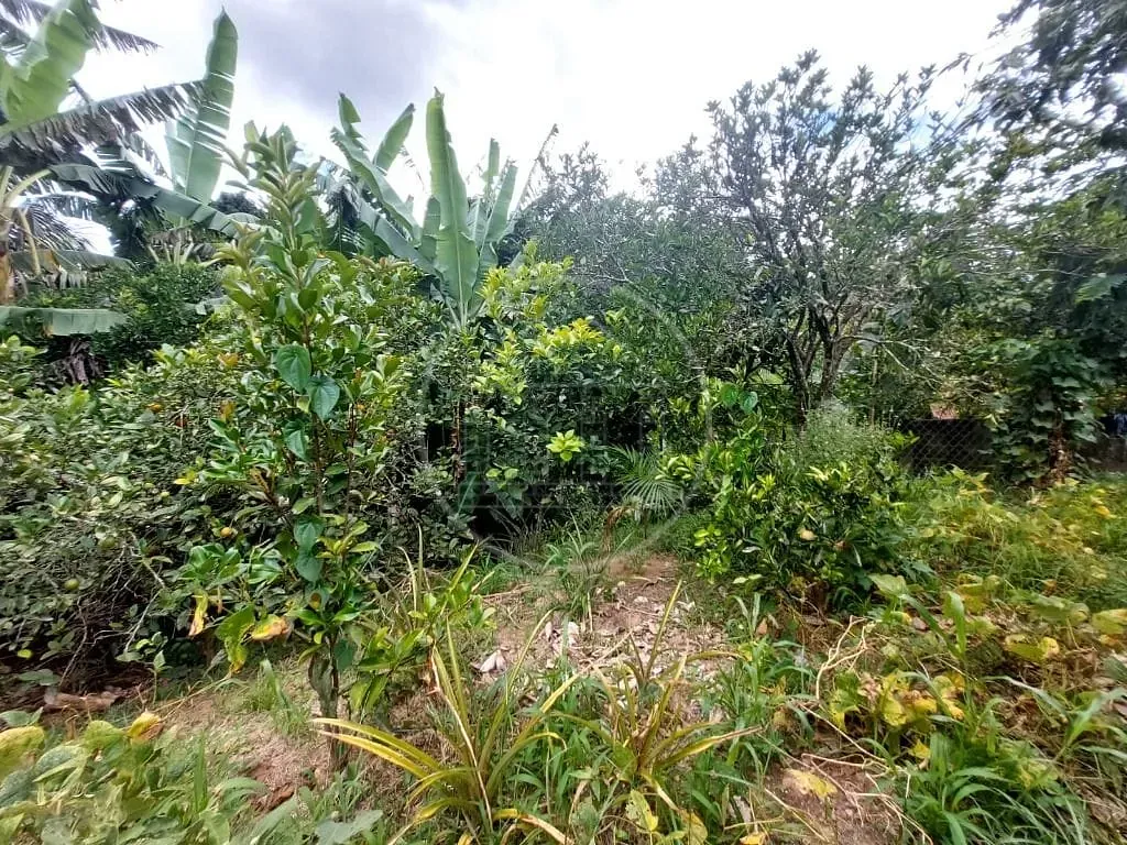 Sobrado, 5 quartos, 460 m² - Foto 15