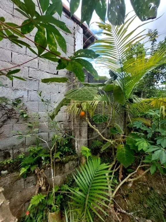 Sobrado, 5 quartos, 460 m² - Foto 46