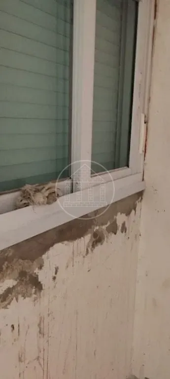 Sobrado, 2 quartos, 115 m² - Foto 10