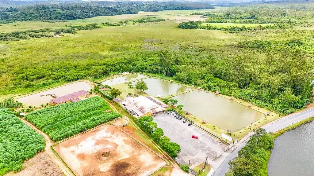 Sobrado, 5 quartos, 238 m² - Foto 74