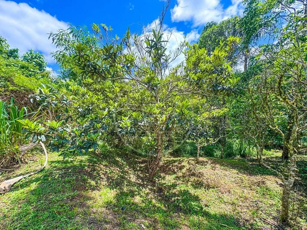 Sobrado, 5 quartos, 238 m² - Foto 59