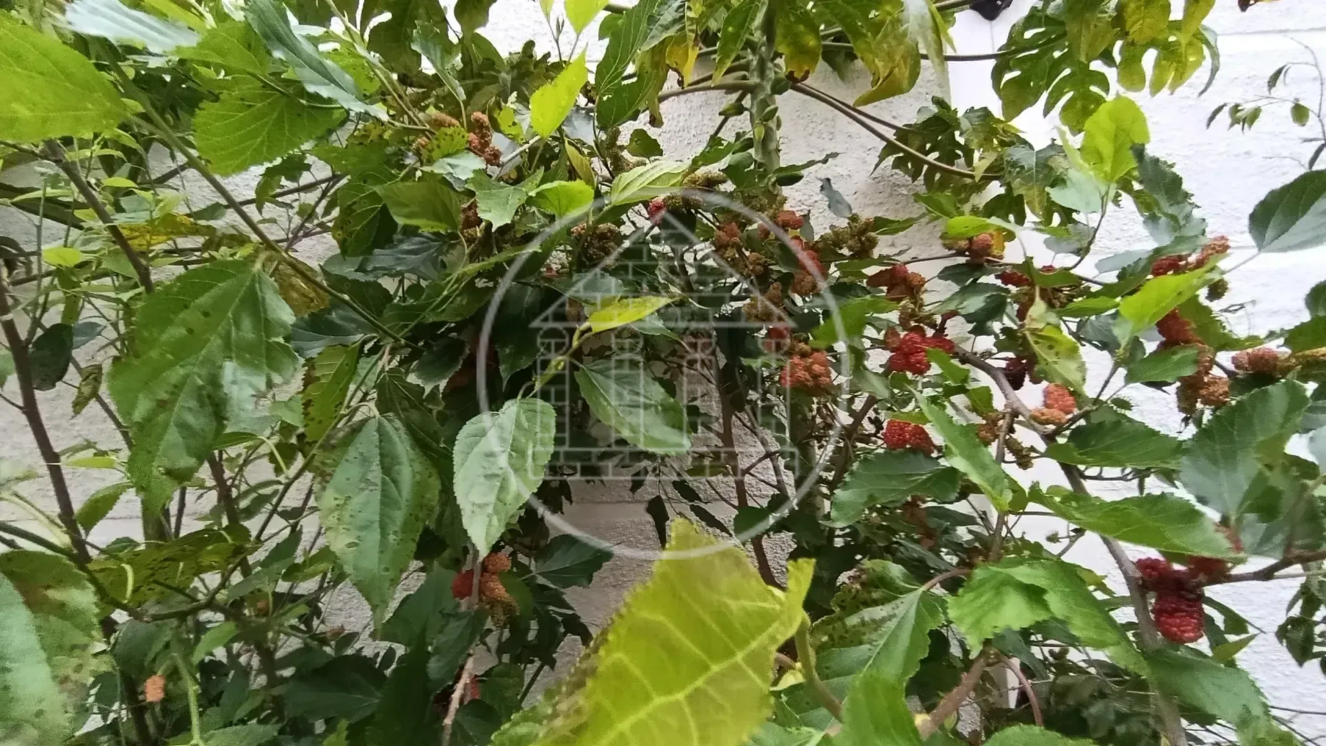 Sobrado, 4 quartos, 280 m² - Foto 45
