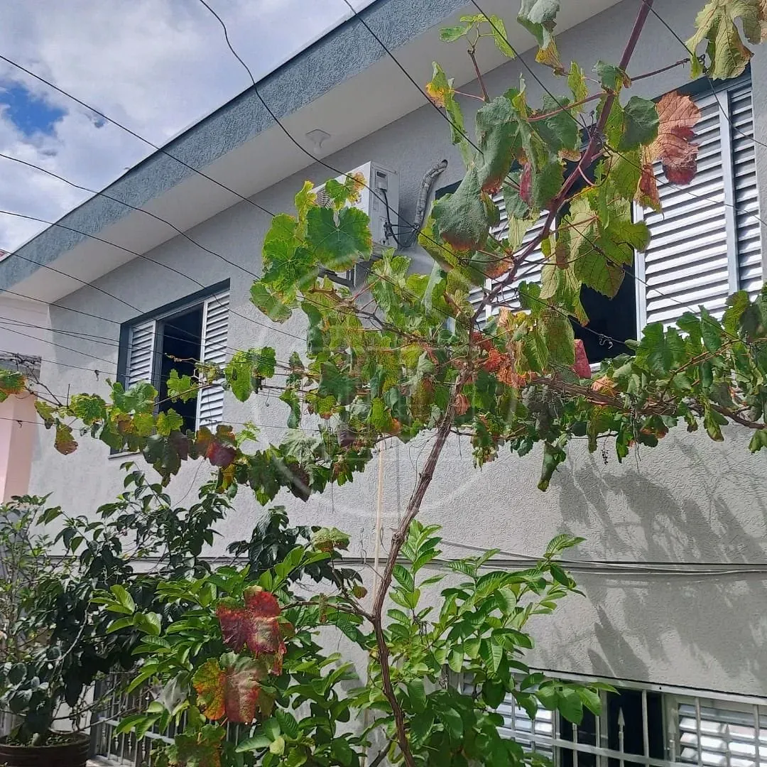 Sobrado, 5 quartos, 200 m² - Foto 68