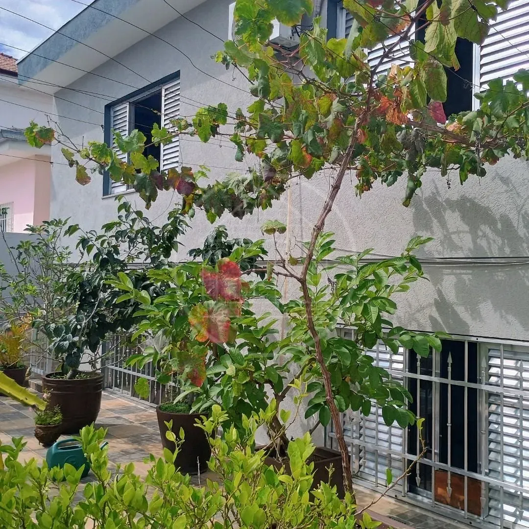 Sobrado, 5 quartos, 200 m² - Foto 69