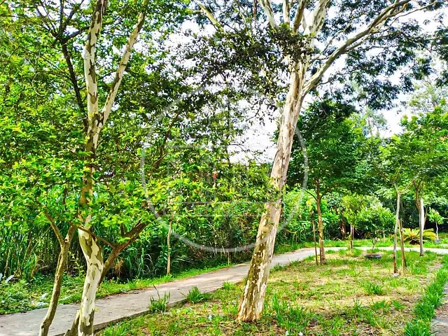 Sobrado com 136m² 4 quartos e 2 banheiros, à venda, no bairro Sítio Cocaia em São Paulo