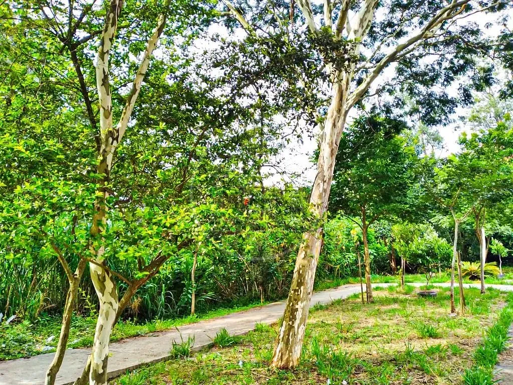 Sobrado, 4 quartos, 120 m² - Foto 2