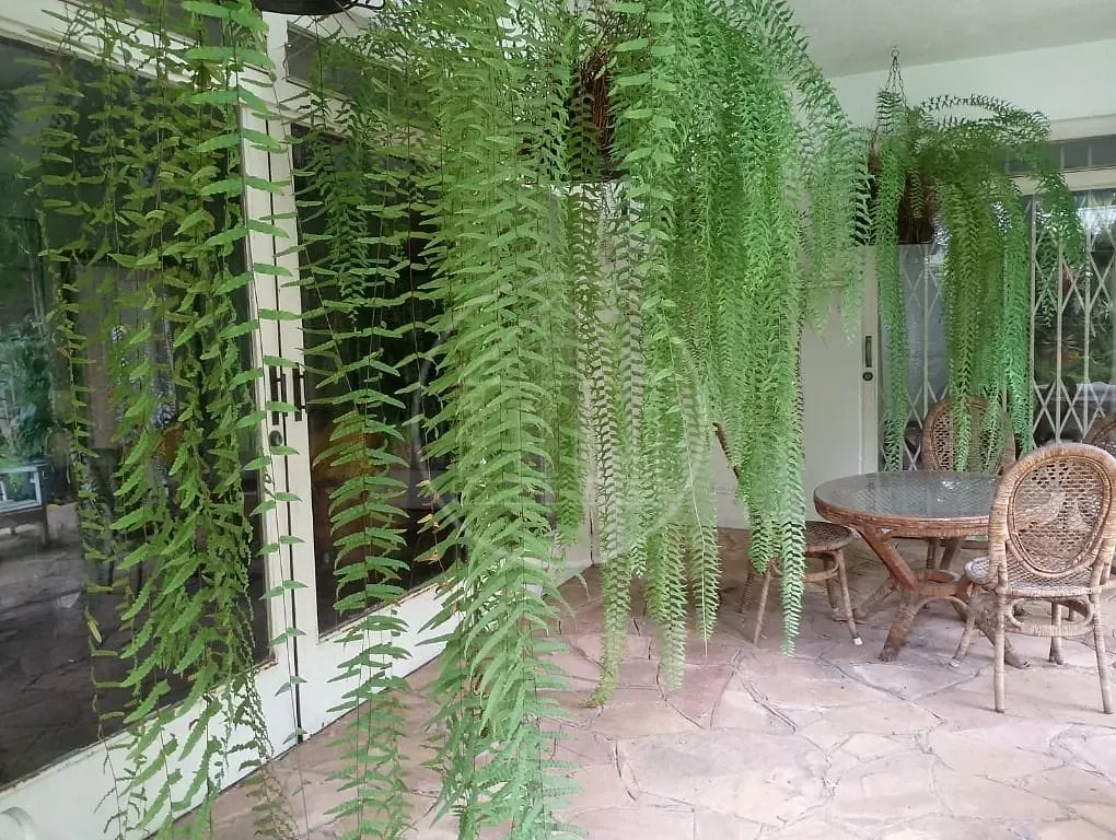 Sobrado, 5 quartos, 640 m² - Foto 44